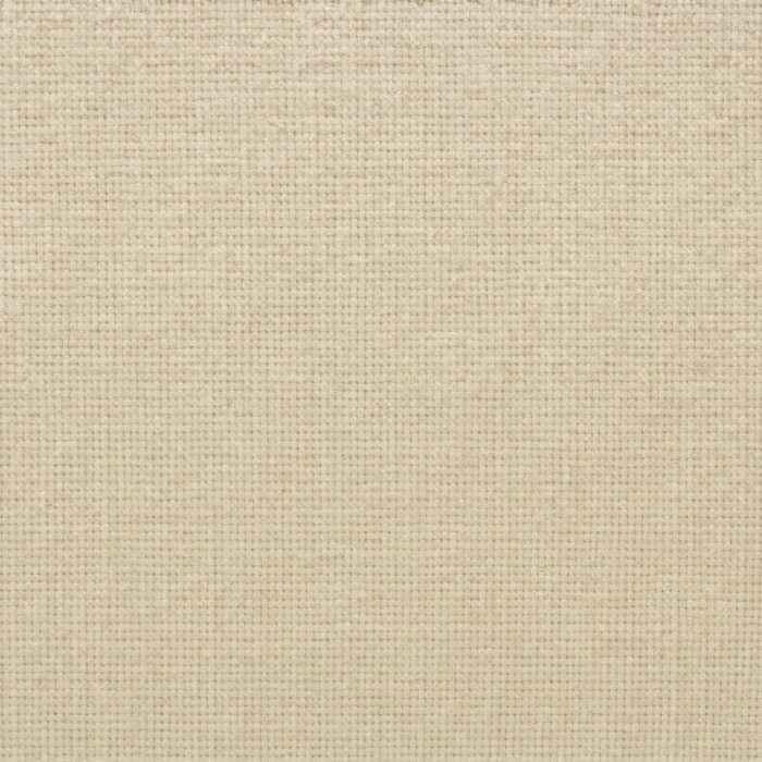 T12 · bone