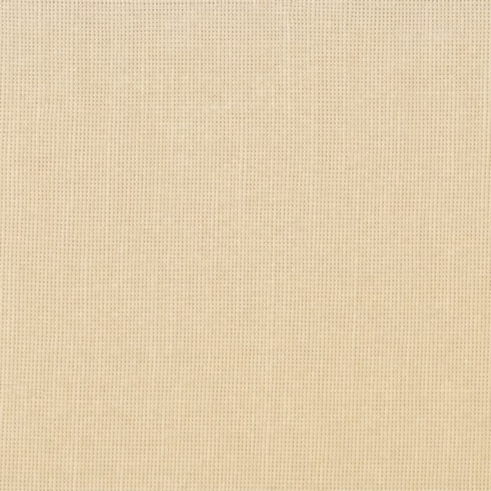 T17 · bone