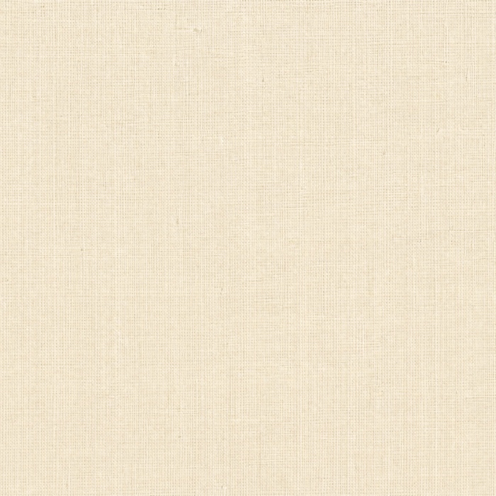 T2 · ivory
