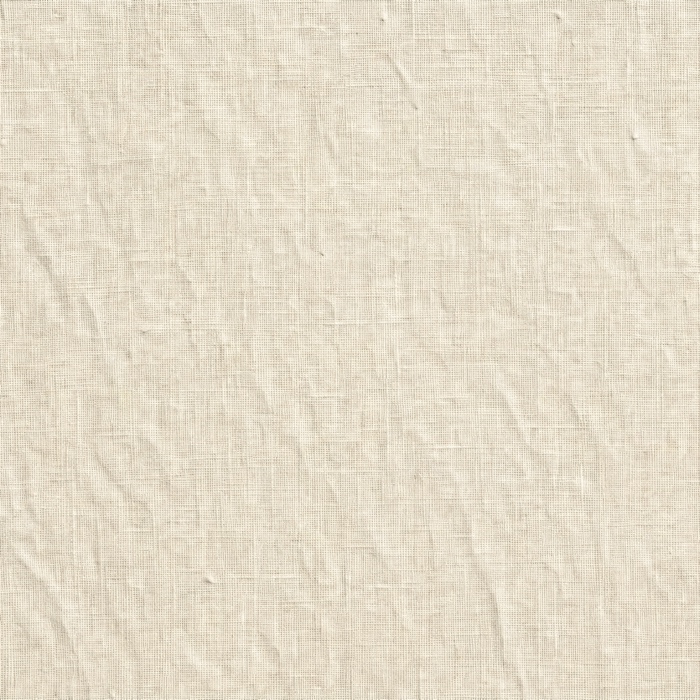 T20 · bone