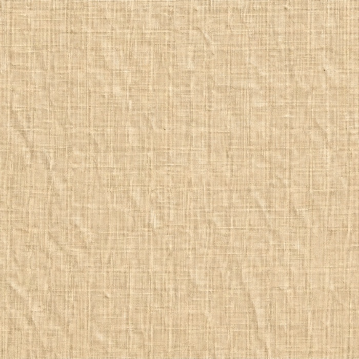 T21 · wheat