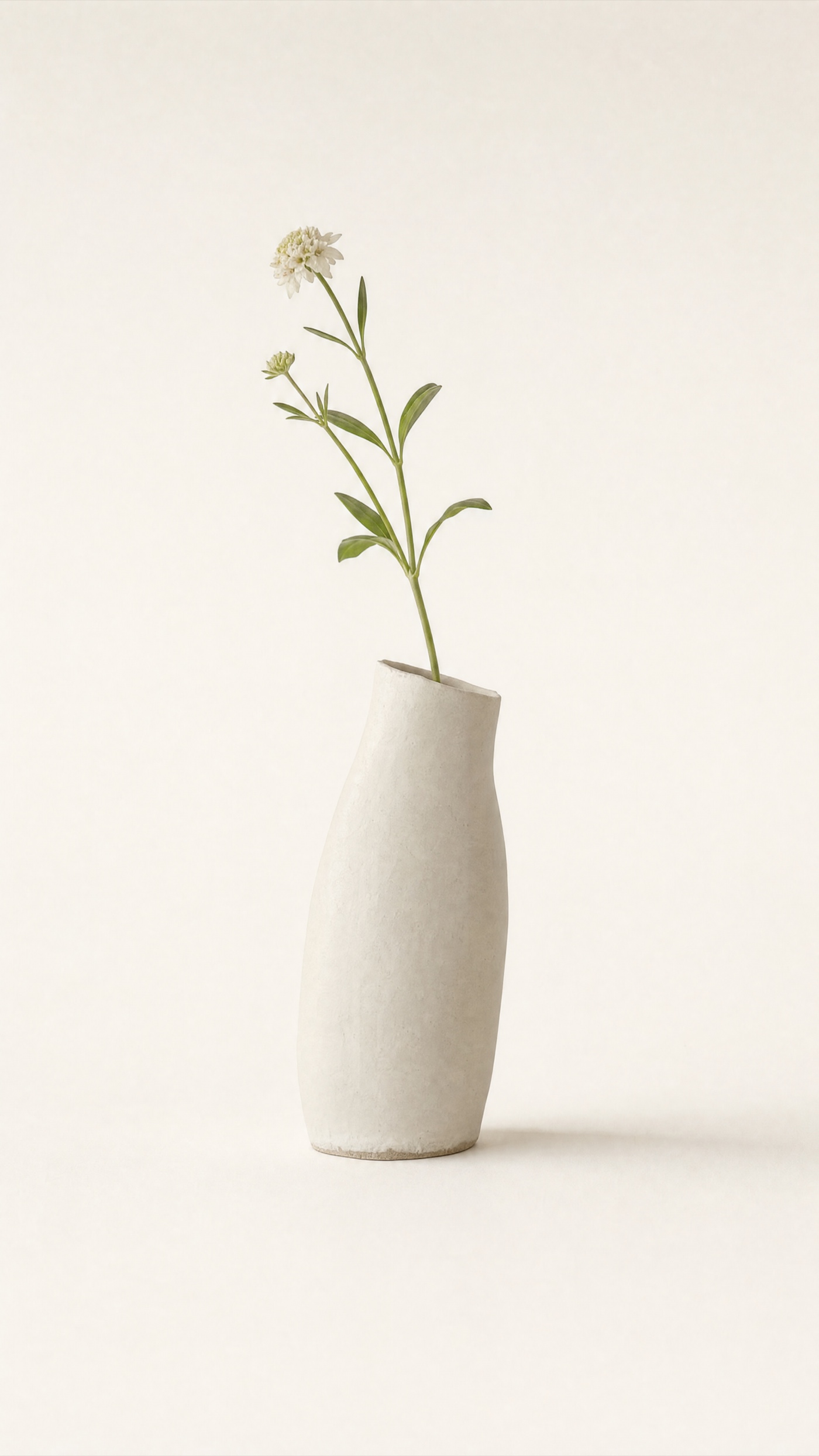 Tilt Bud Vase — the full studio frame.