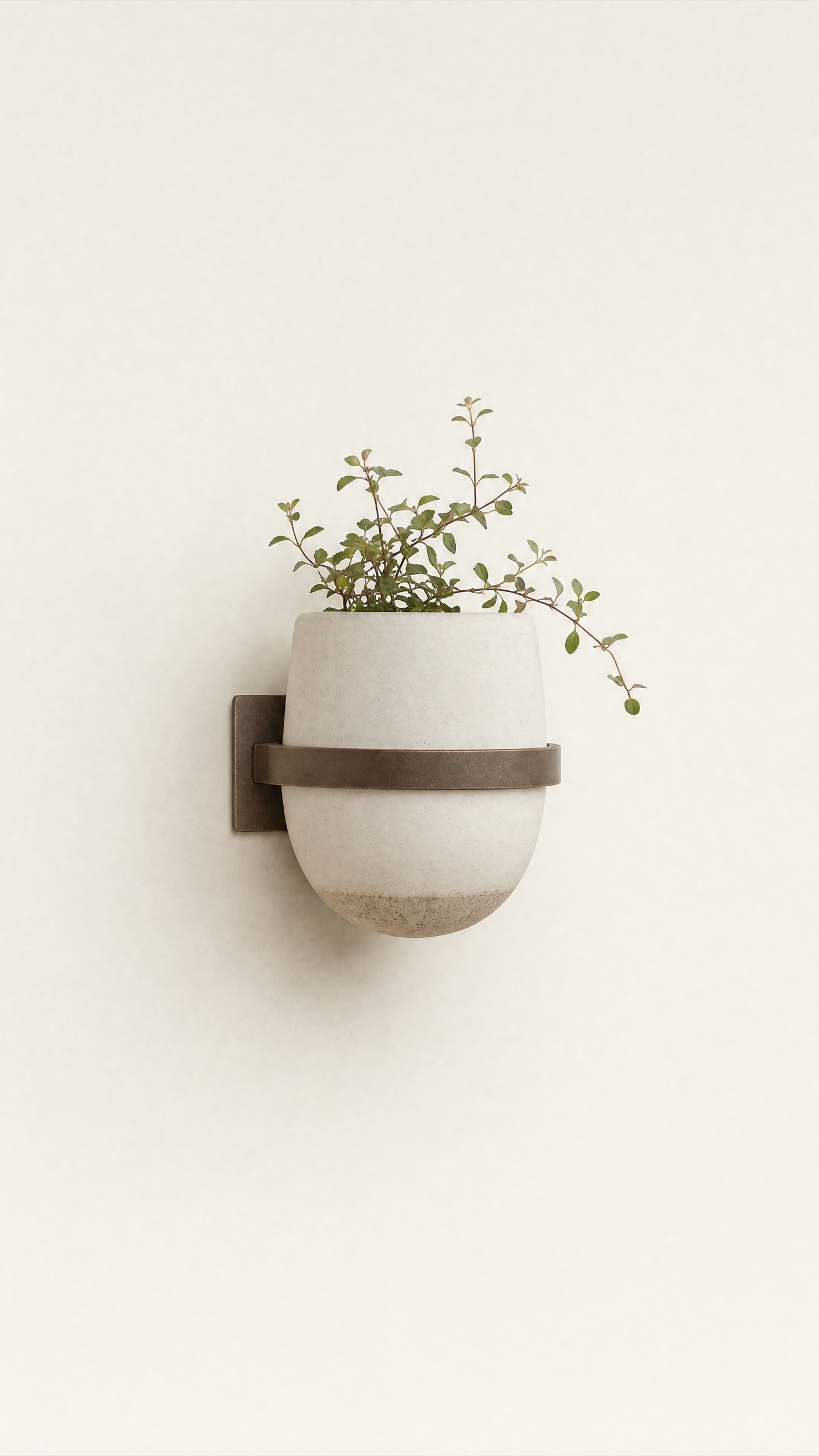 Wall Bracket Planter — the full studio frame.