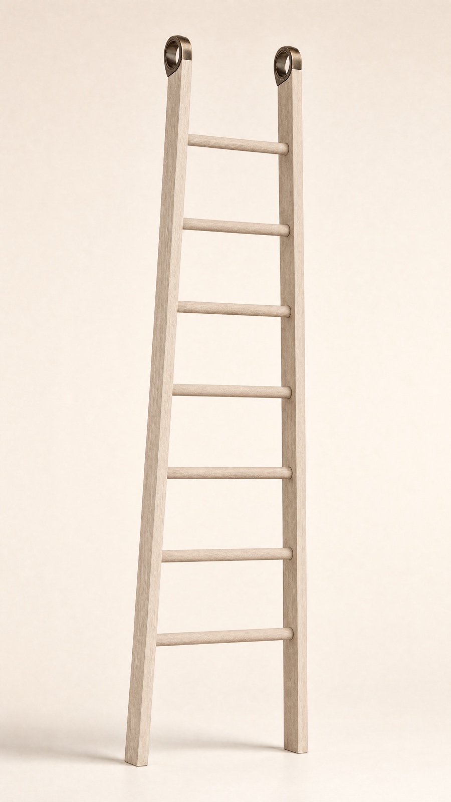 Cellar Ladder