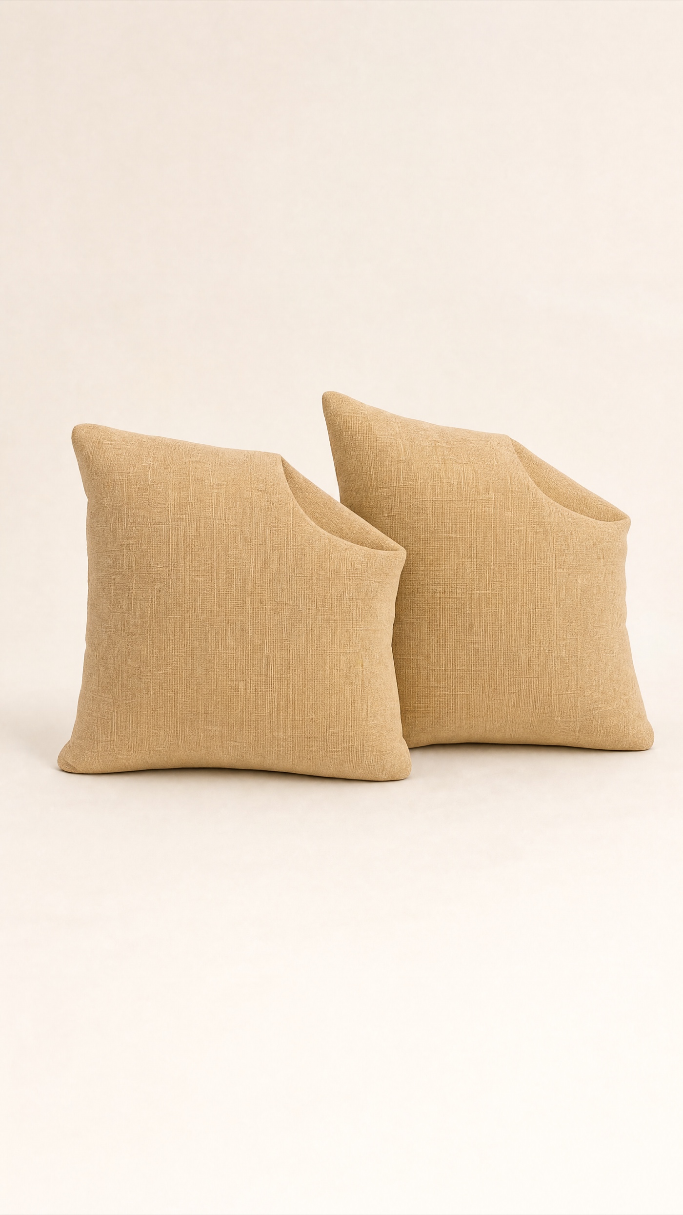 Loft Cushion Pair — the full studio frame.